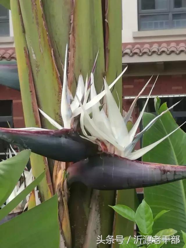 趣联集锦,趣联欣赏完整版