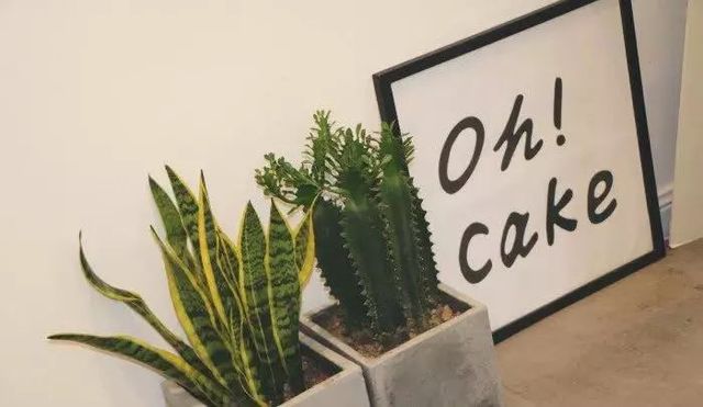 拯救夏季,拯救夏天