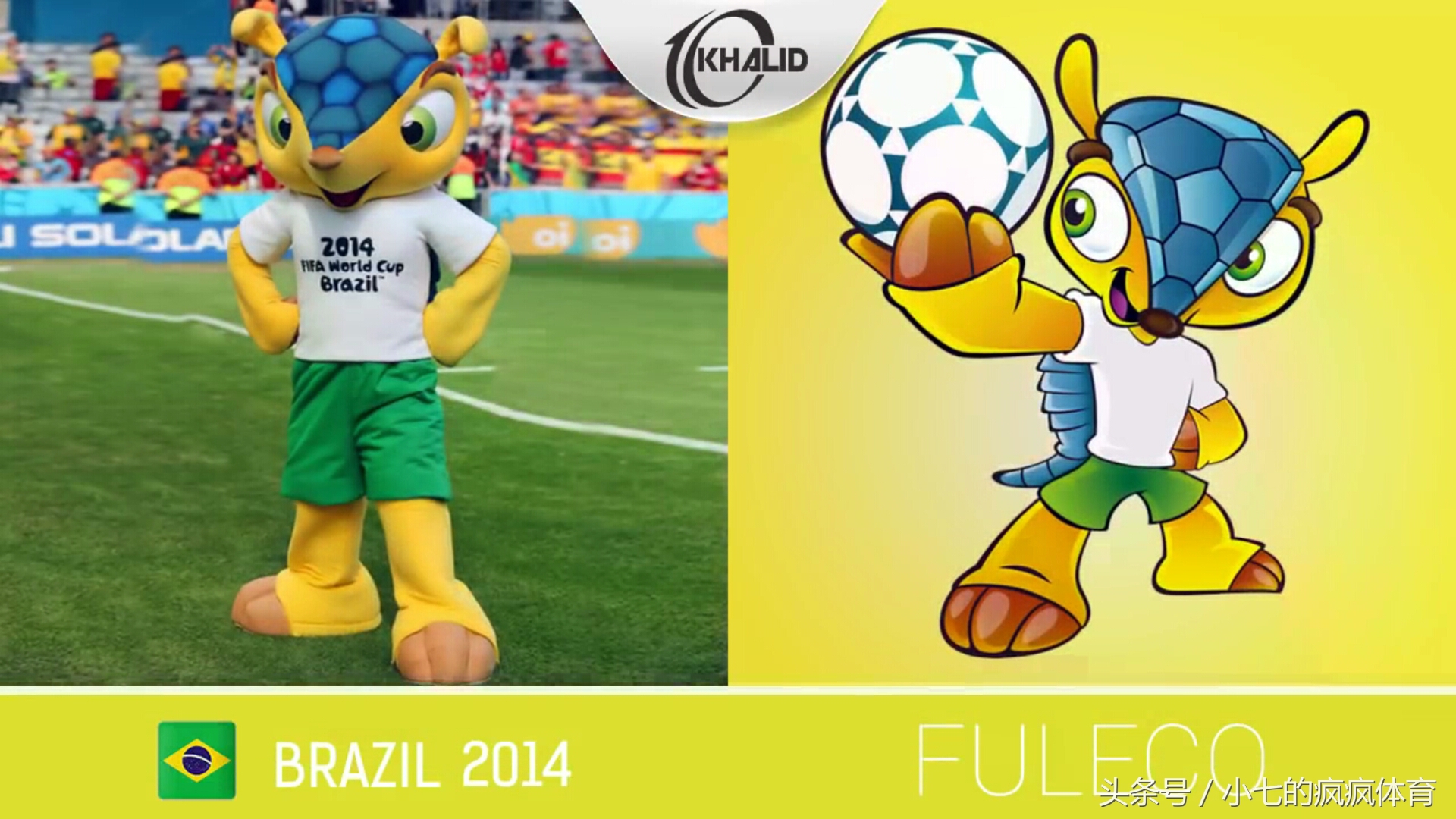 了解世界杯吉祥物,世界杯吉祥物是什么动物