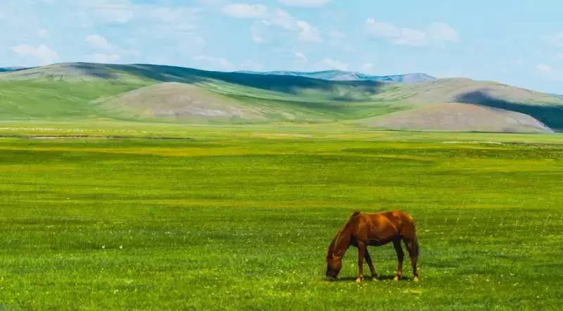 呼伦贝尔美食打卡,呼伦贝尔市十大特色美食小吃
