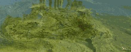 洗衣粉加醋可以去除污渍吗,洗衣粉添加什么清洗污迹