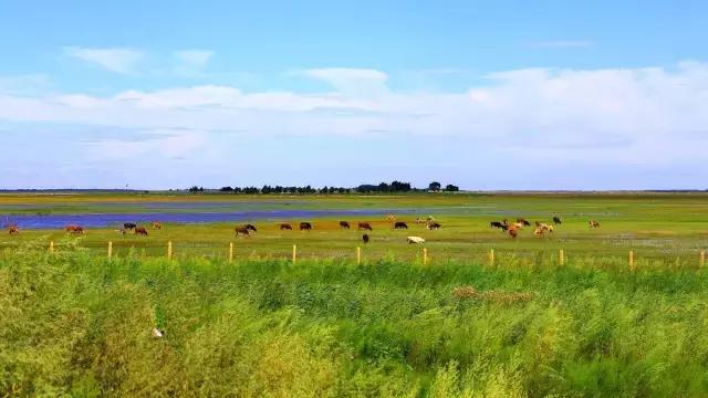 长春高速旅游攻略,自驾东北吉林省最美盘山公路