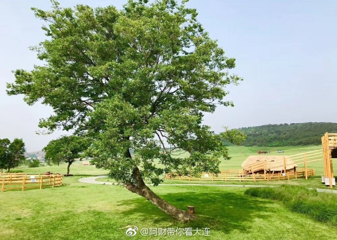 大连游记之三寰牧场,大连三寰牧场游玩日记