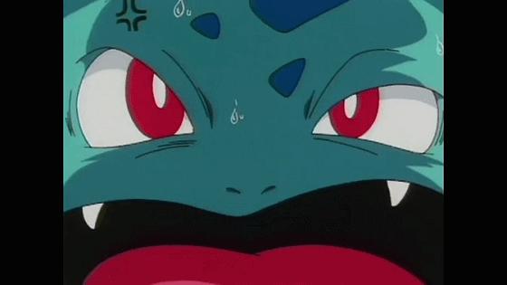 小智的神奇宝贝胜率,小智的所有神奇宝贝胜率