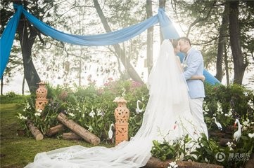 云响建站模板：婚礼品牌策划网站