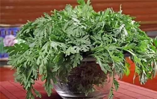 四川农村常见野菜大全,四川的野菜根本吃不完你见过几种