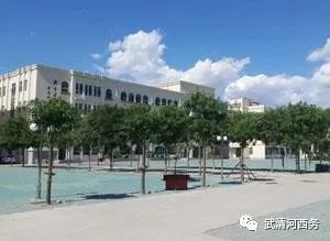 镇街纪委书记,镇国神婿小说