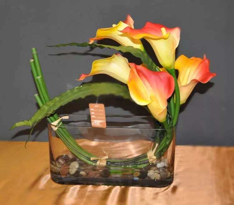 珍稀马蹄莲,如何让马蹄莲一年四季都活着