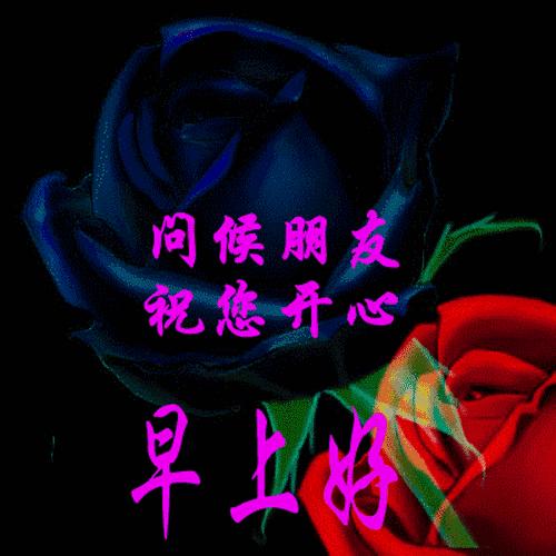 最美好的早晨好问候动态图片大全,最美丽早安问候动态图片带字