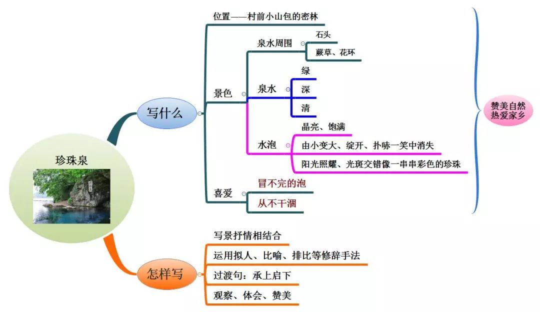 三年级上册语文思维导图模板空白,三年级语文第一单元思维导图8k纸