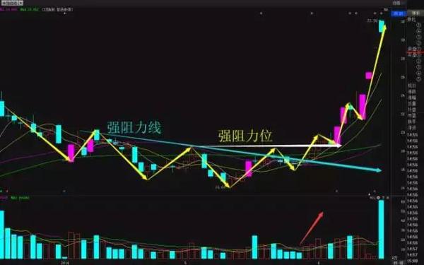 上海顶级股票操盘手,上海黑马操盘手