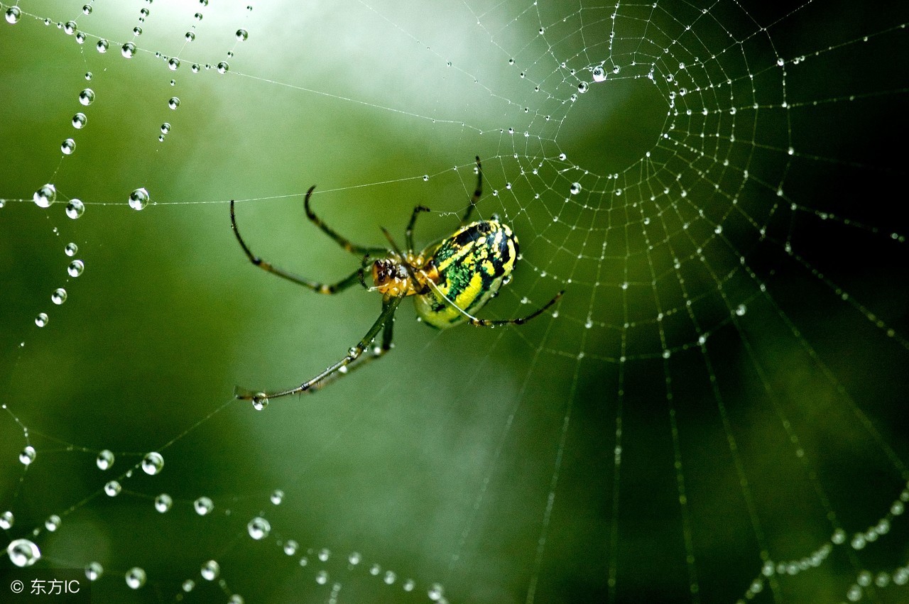 二年级下册语文生字表组词人教版,二年级下册生字表大全可打印免费