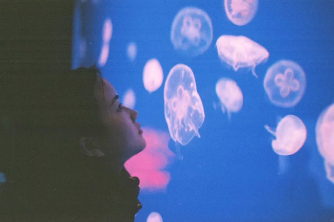 日本九州的宝藏,日本大量宝藏被发现