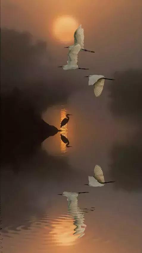 超有气氛的集体照图片,刚拍的你从未见过的集体照