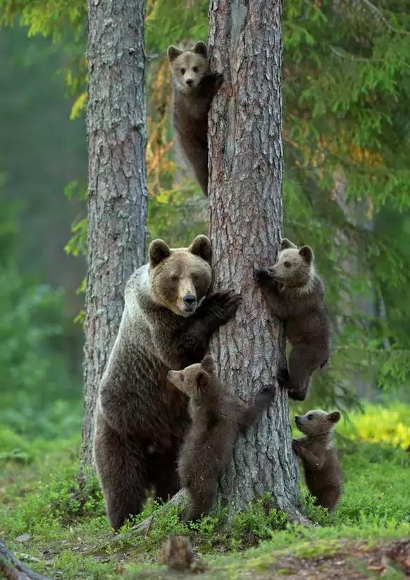 超有气氛的集体照图片,刚拍的你从未见过的集体照