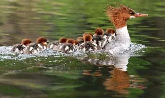 超有气氛的集体照图片,刚拍的你从未见过的集体照