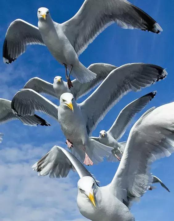 超有气氛的集体照图片,刚拍的你从未见过的集体照