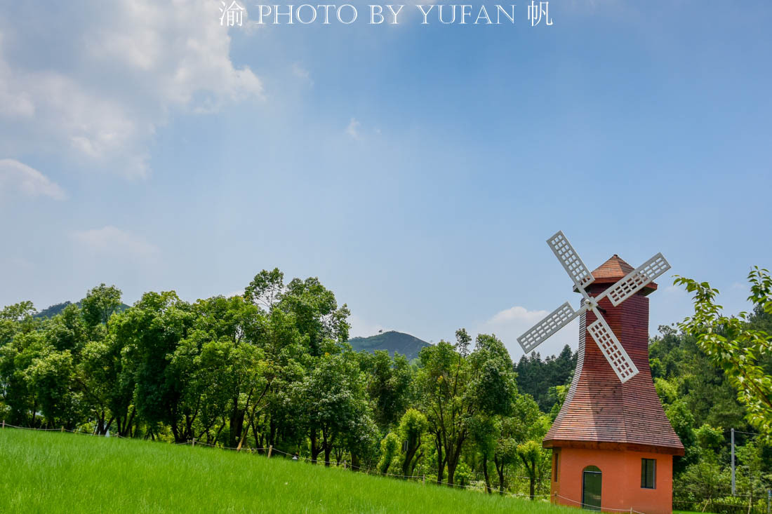 中国的国蝶是什么？居然很多人都不知道！来亚州最大有蝴蝶馆看看