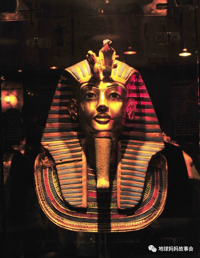 神奇树屋木乃伊之谜全集 (神奇树屋木乃伊之谜06)