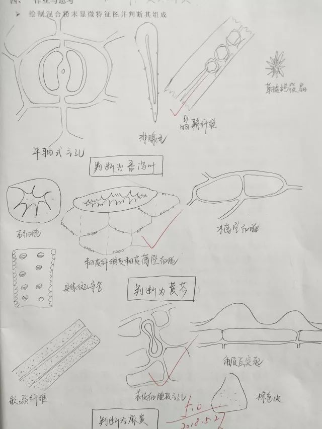 学霸笔记经典语录励志,学霸的笔记是真的吗