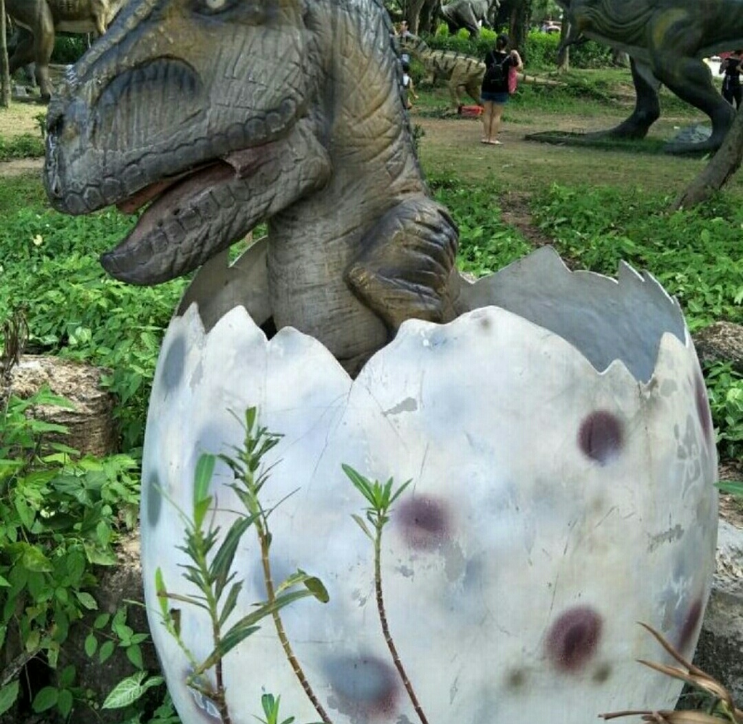 深圳海上田园怎么样,深圳海上田园景区