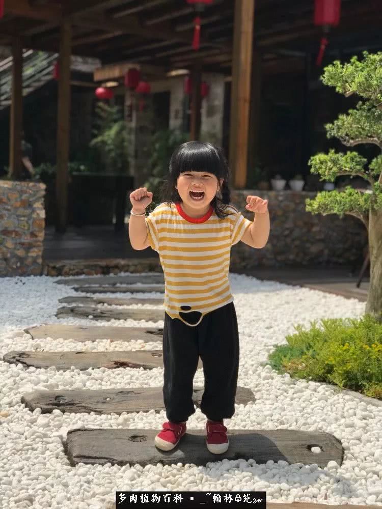 又一场法师视觉盛宴欣赏：翰林苑的昆明多肉花园！