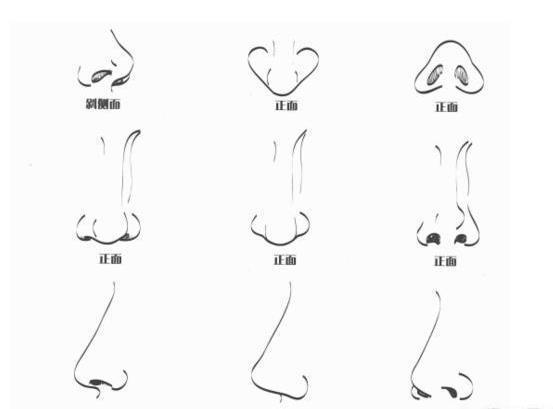绘画软件零基础教程,零基础学习绘画线条