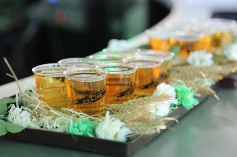 乐堡啤酒快闪店,银川乐堡野啤酒音乐节