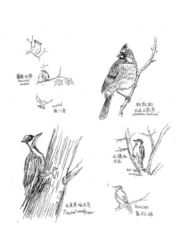 年货精选分享,年货精选30本哲学好书