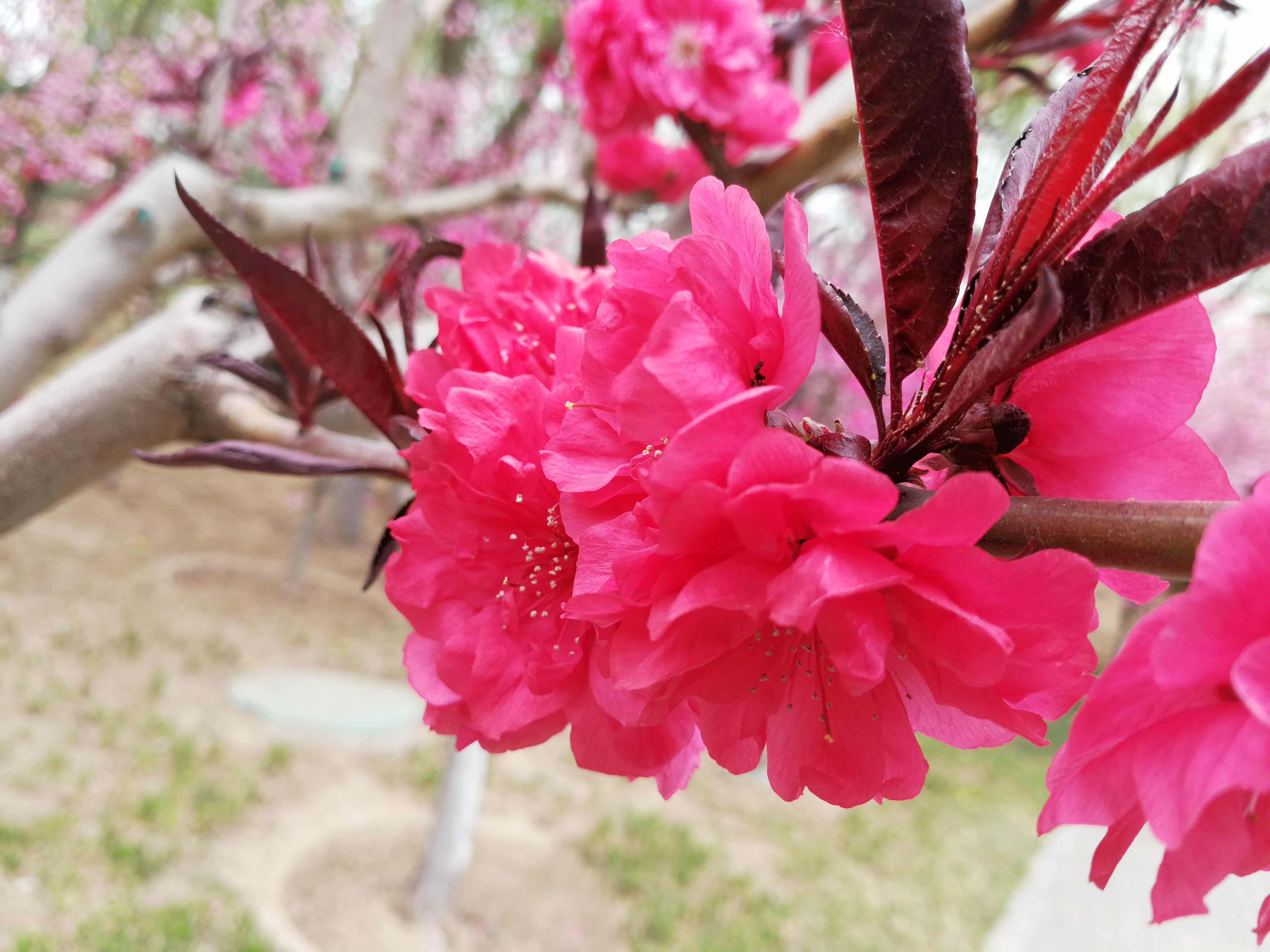 金融人为什么收入这么多,一般人认为金融行业薪酬如何