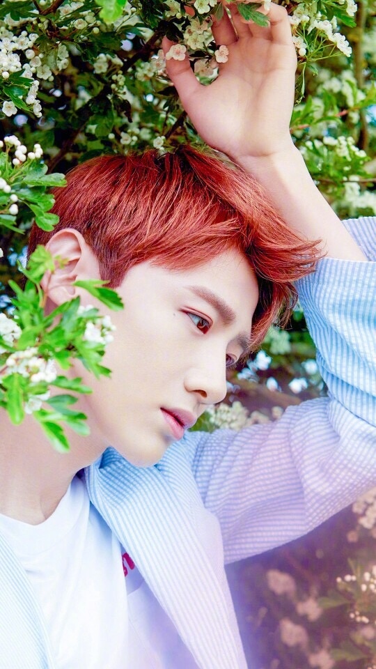 白敬亭和鹿晗关系,白敬亭喜欢鹿晗吗