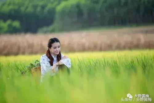 蒙尘创作,刘斌的电吉他