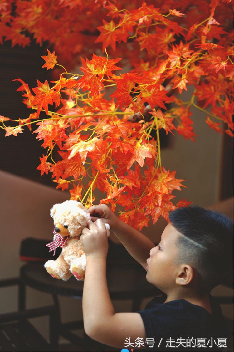 摄影：菠萝油王子