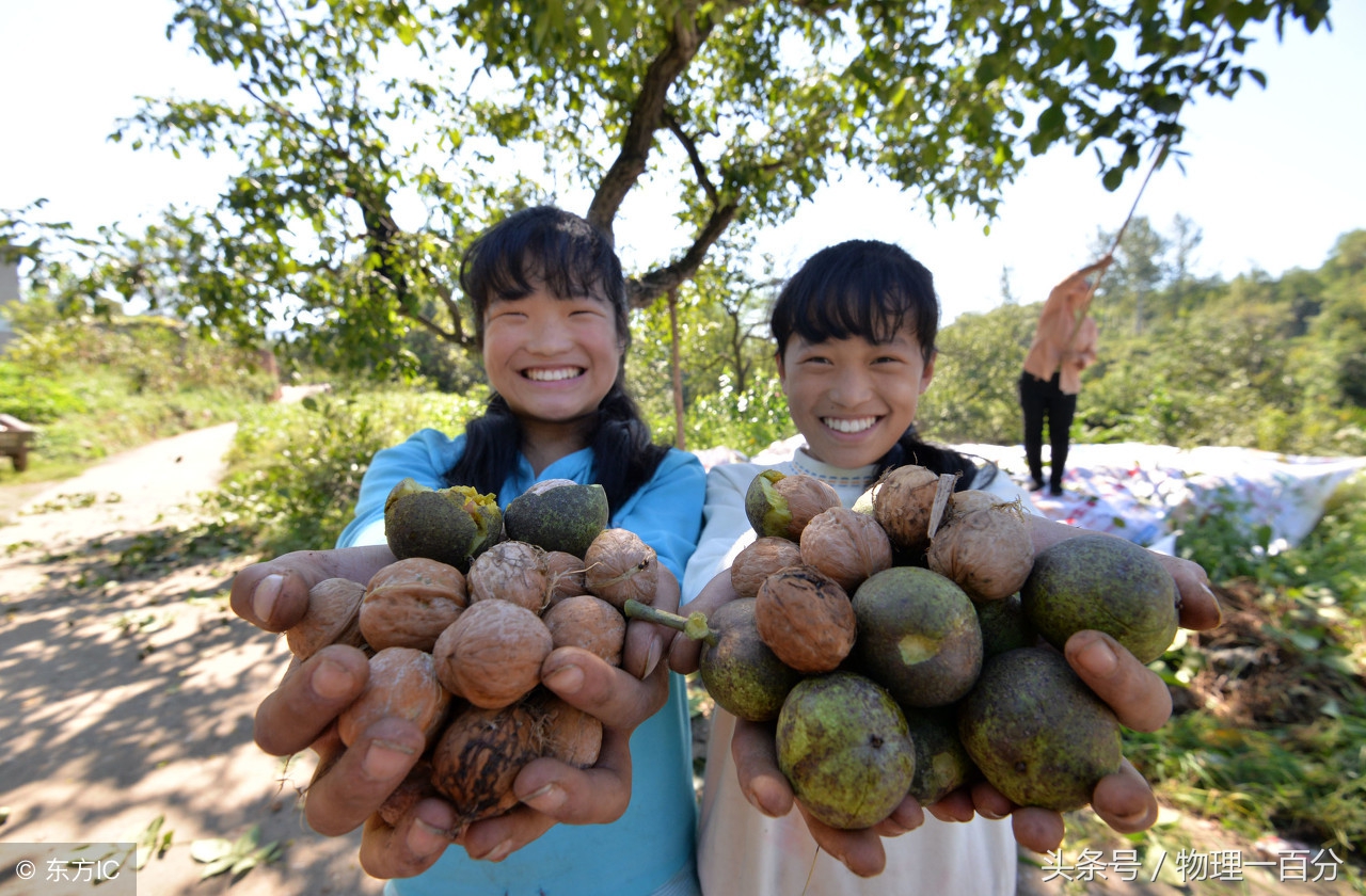 有什么技巧把核桃弄碎,砸核桃的巧妙方法快速