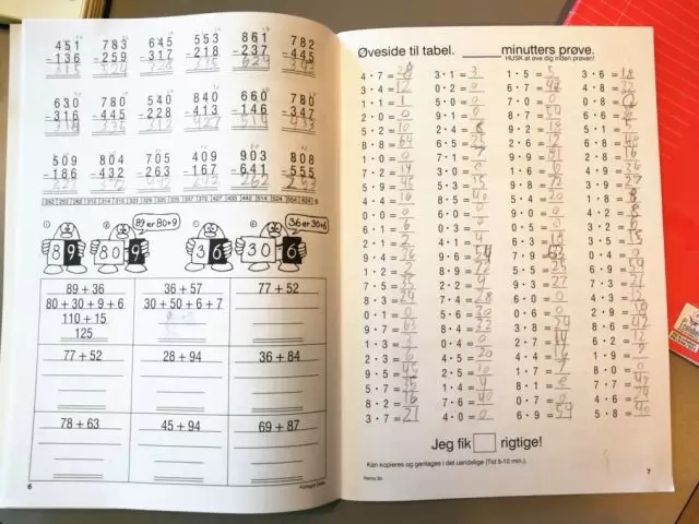 杨东平讲丹麦教育,杨东平权威吗