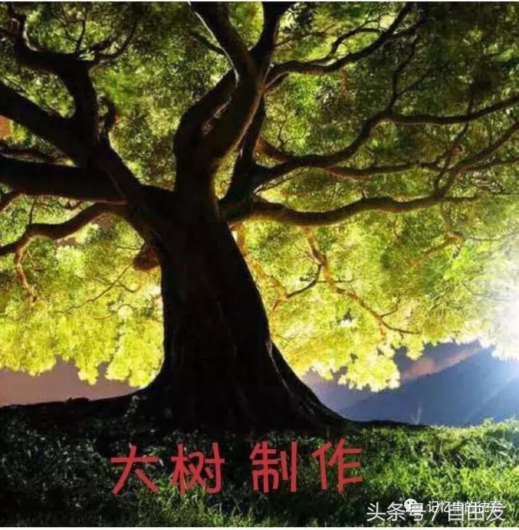 老包头人的生活缩影,包头各地往事