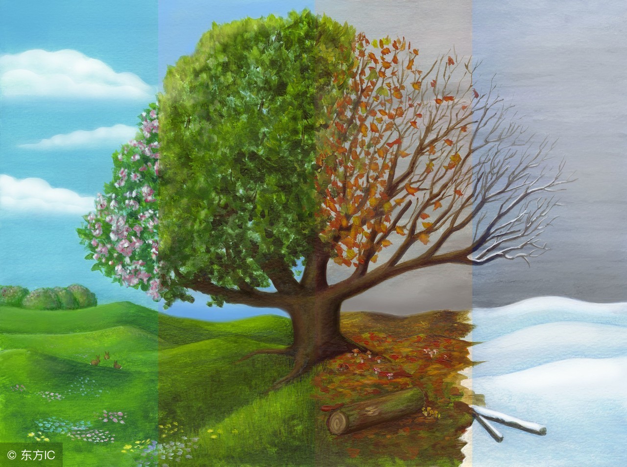 面相学从嘴巴看一个人的个性特征,相由心生面相决定着人一生