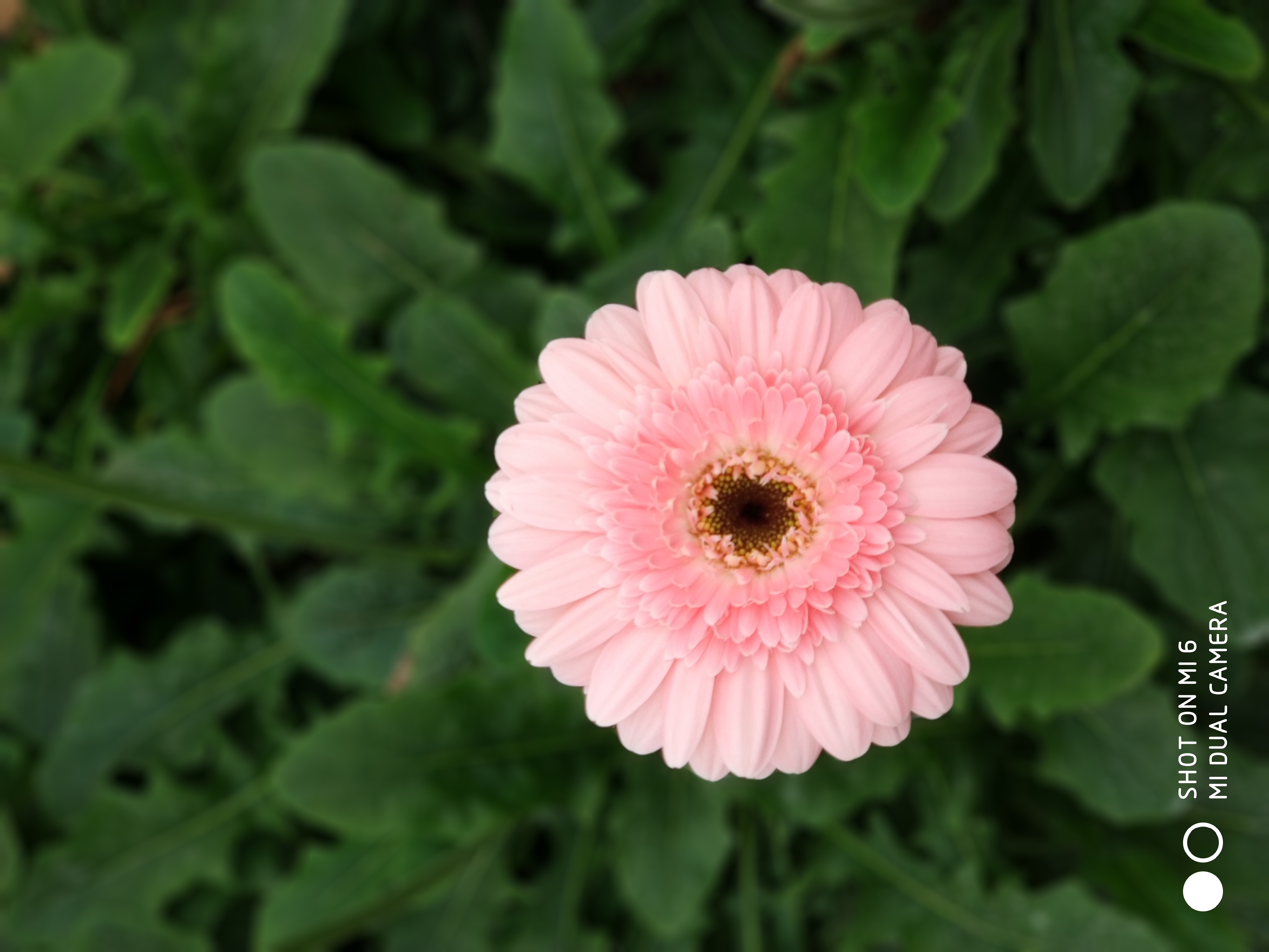 孕早期什么症状可以确认正常怀孕,咋样确认怀孕了