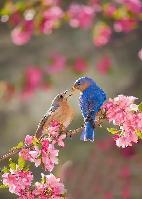 男女之间幽默搞笑顺口溜,男女之间的关系顺口溜