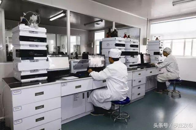 今年，罗庄这家企业预期销售收入将过百亿元！这源于······