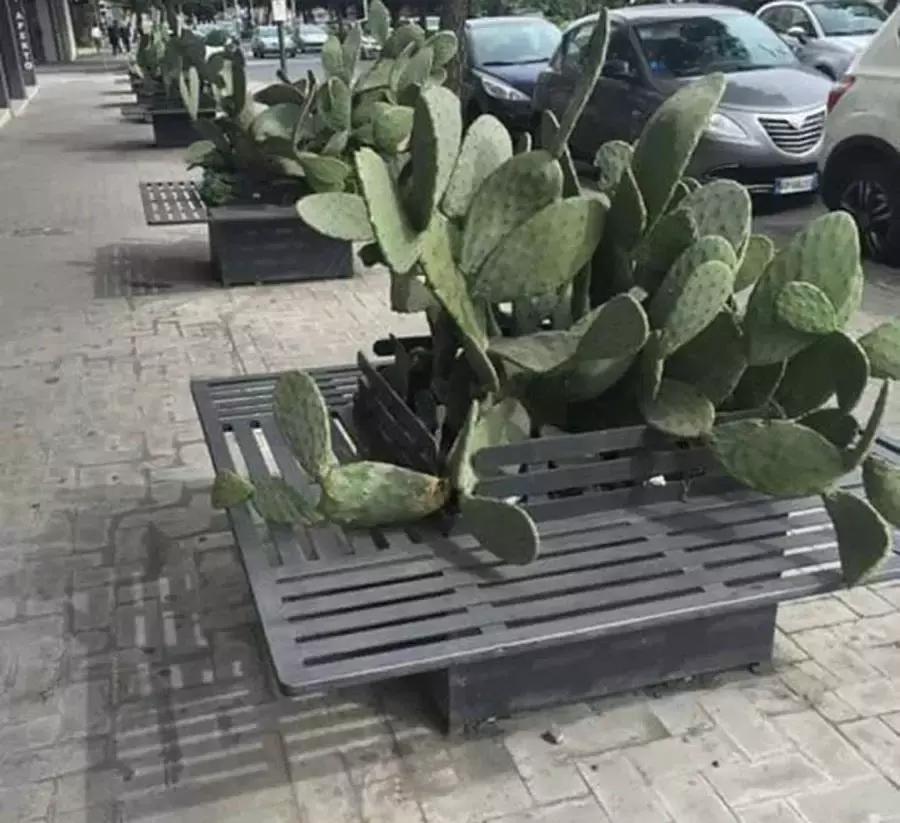 10张让人困惑的照片,26张不可思议的照片让人怀疑人生