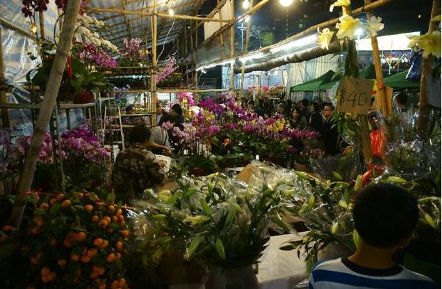 花卉市场买花养不活,花卉市场的这些猫腻