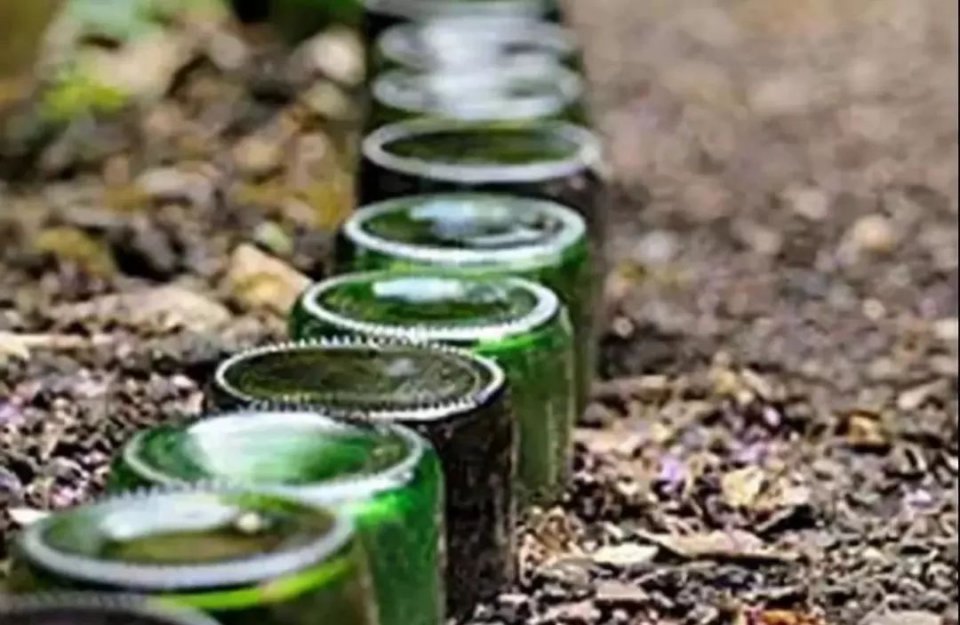 创意农业丨妙用瓶子,让你的农场不一样