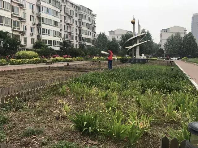 2025昌平最新发展规划,2020-2035年回龙观规划