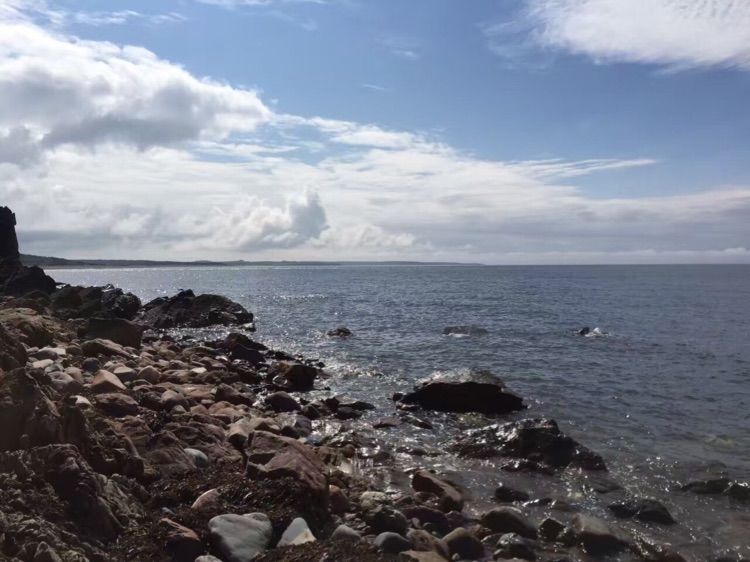 八位佳人在远方——初中闺蜜团加拿大游之美好印记