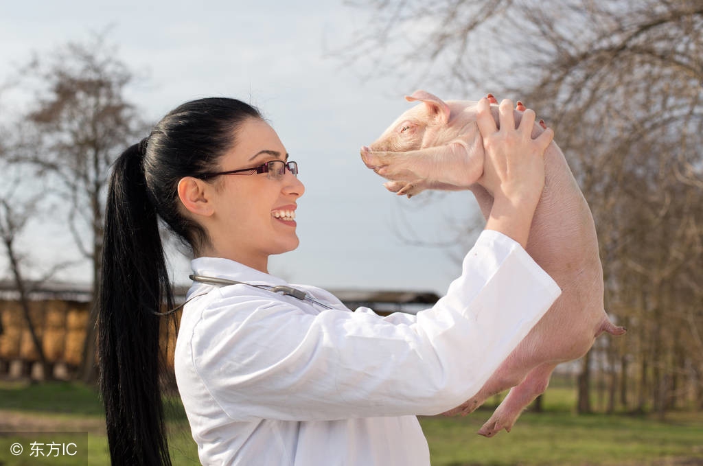 猪场治疗常见疾病的配方,猪场常见病用药