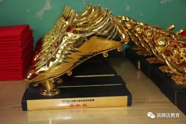 高碑店市青少年足球比赛,高碑店东环路小学足球校队比赛