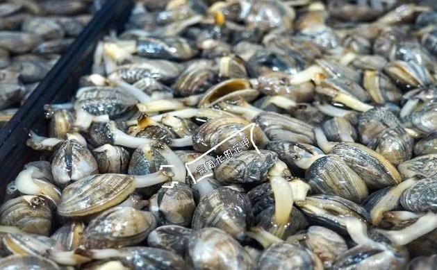 端午节吃什么海鲜比较好,端午海鲜如何选