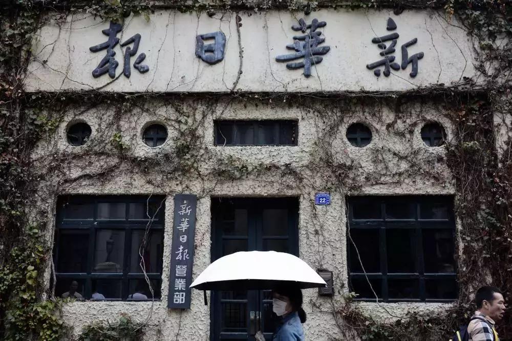 熊猫摄影拍摄技巧,熊猫摄影图片大图