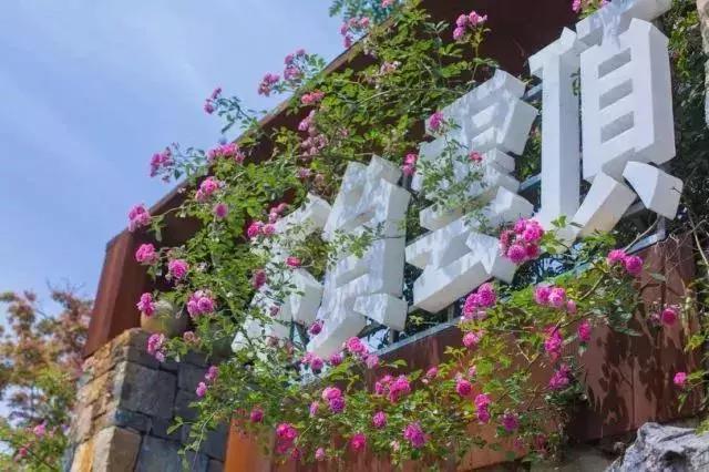 端午假期遇上父亲节,端午节父亲节出游